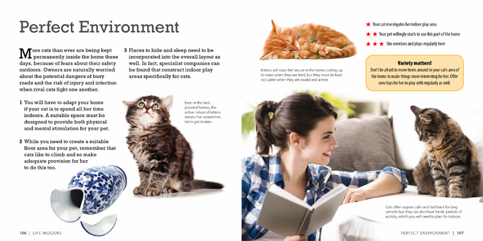 how smart is your cat