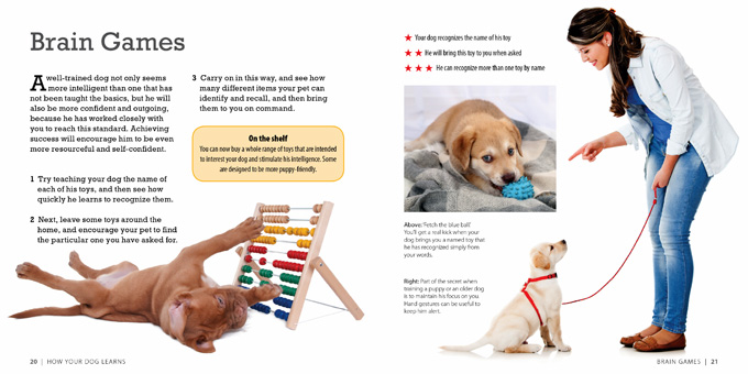 how smart is your dog