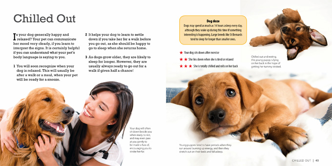 how smart is your dog