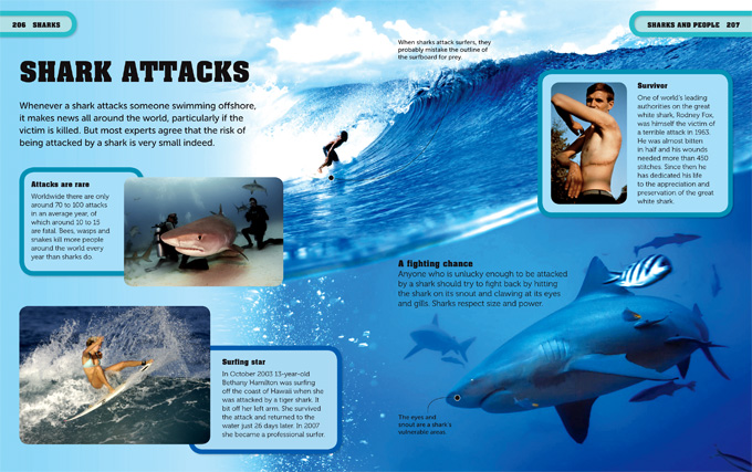 sharks